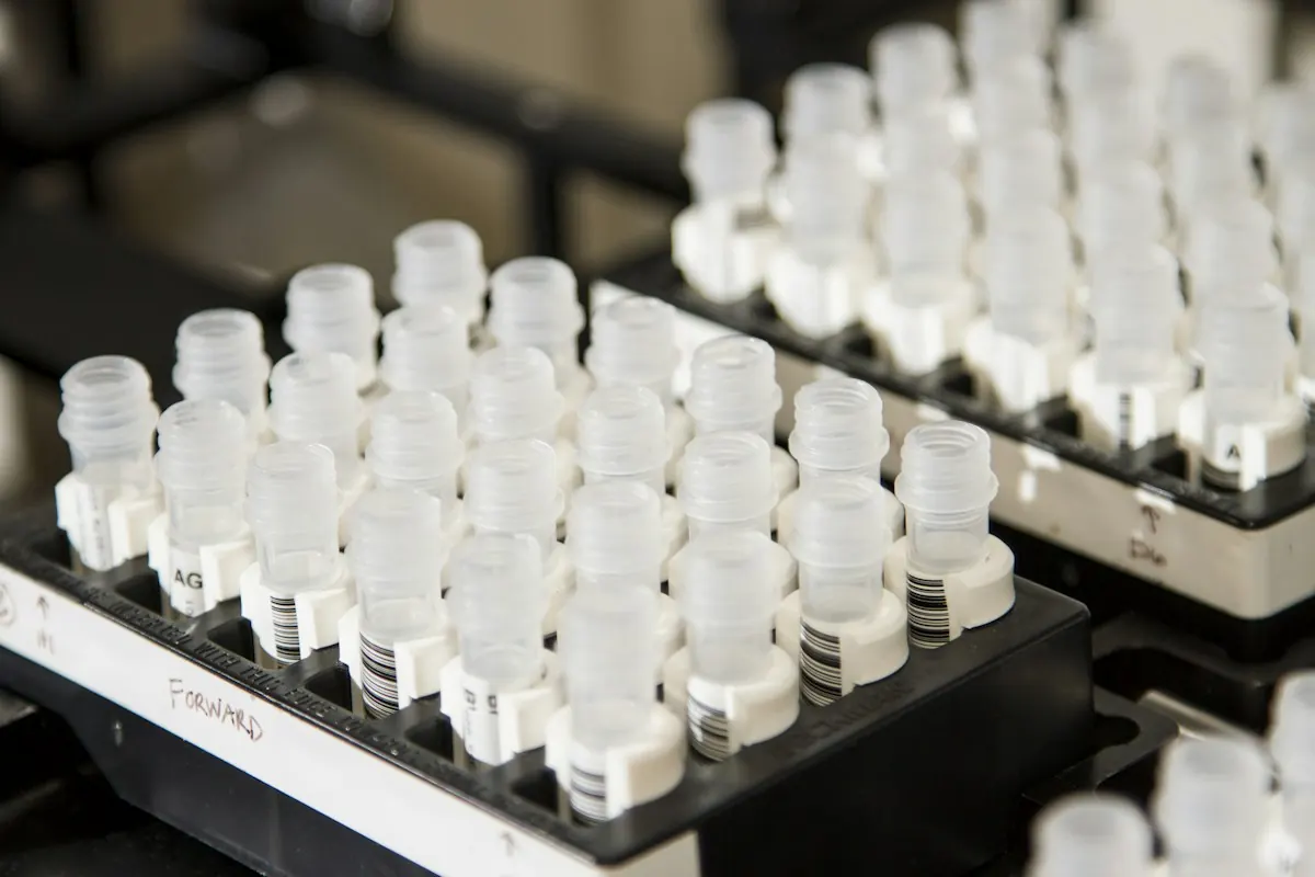 Sample tubes racked for analysis