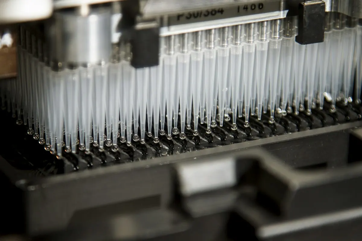 Pipette tips arrayed for a laboratory run