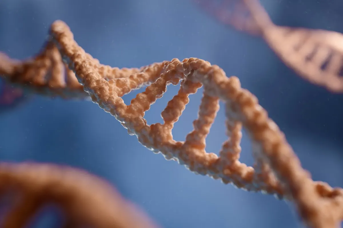 A DNA double helix rendered in warm copper